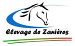 Logo centre équestre de Zanières